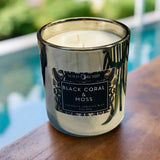 Black Coral and Moss Coconut Apricot Creme Candle| 13 OZ - Wild Orchid Candle Company