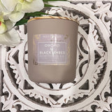 Orchid and Black Amber 13 oz  Coconut and Apricot  Candle - Wild Orchid Candle Company